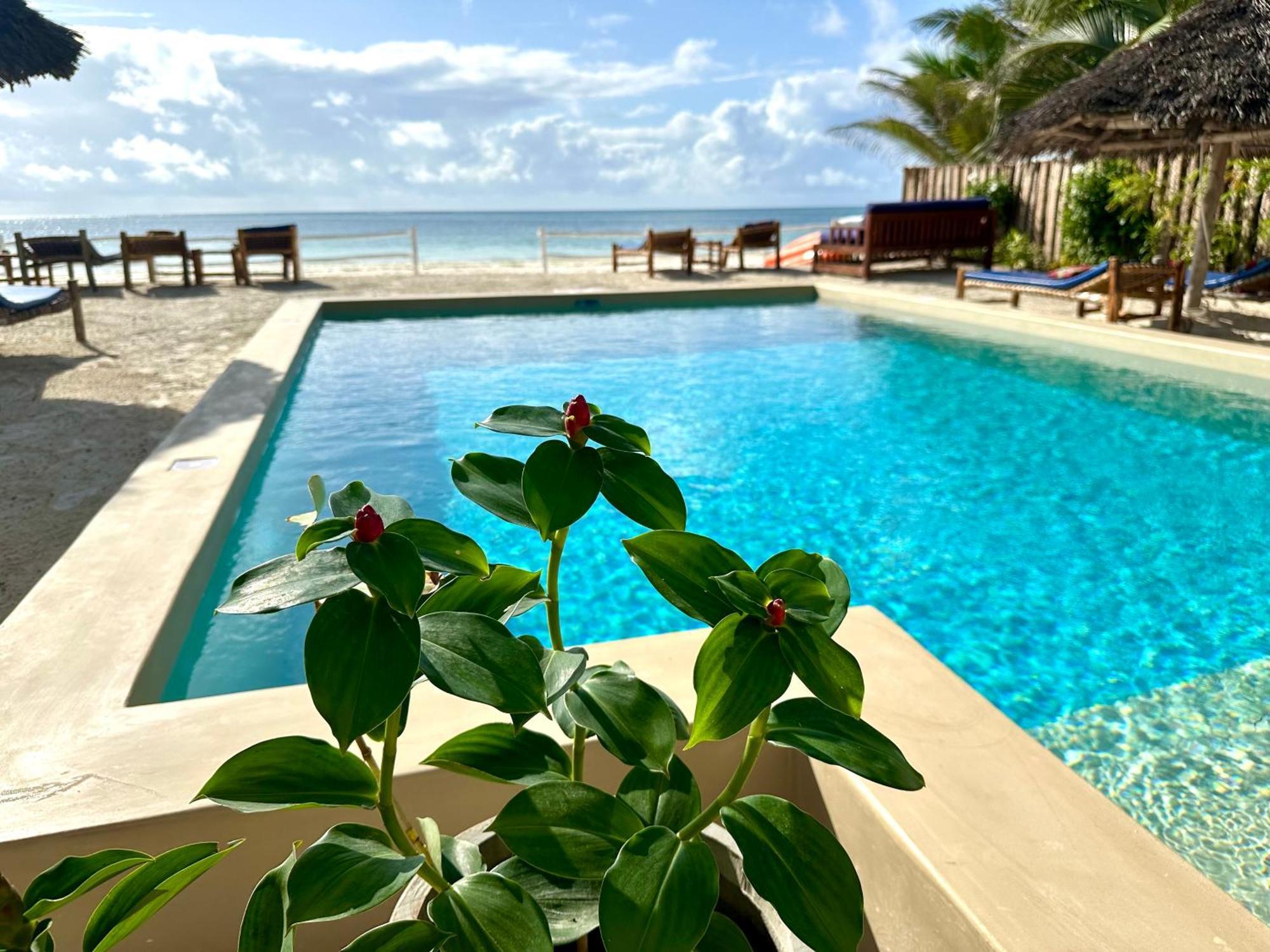The African Paradise Beach Hotel Bwejuu Exterior foto