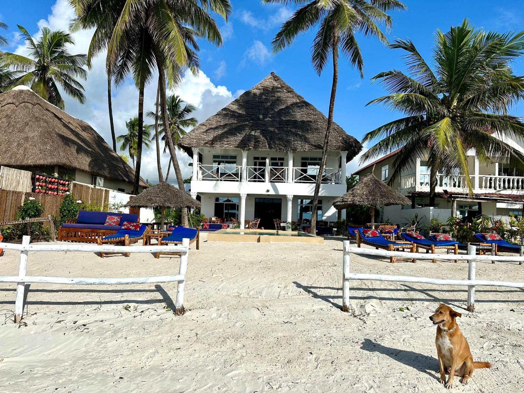 The African Paradise Beach Hotel Bwejuu Exterior foto