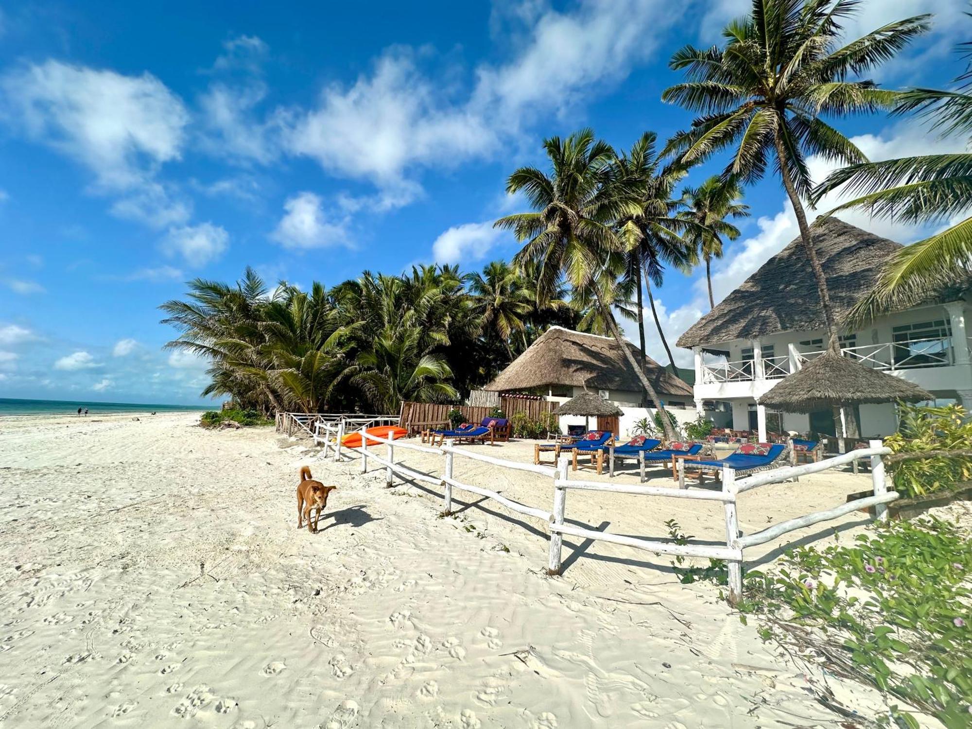 The African Paradise Beach Hotel Bwejuu Exterior foto